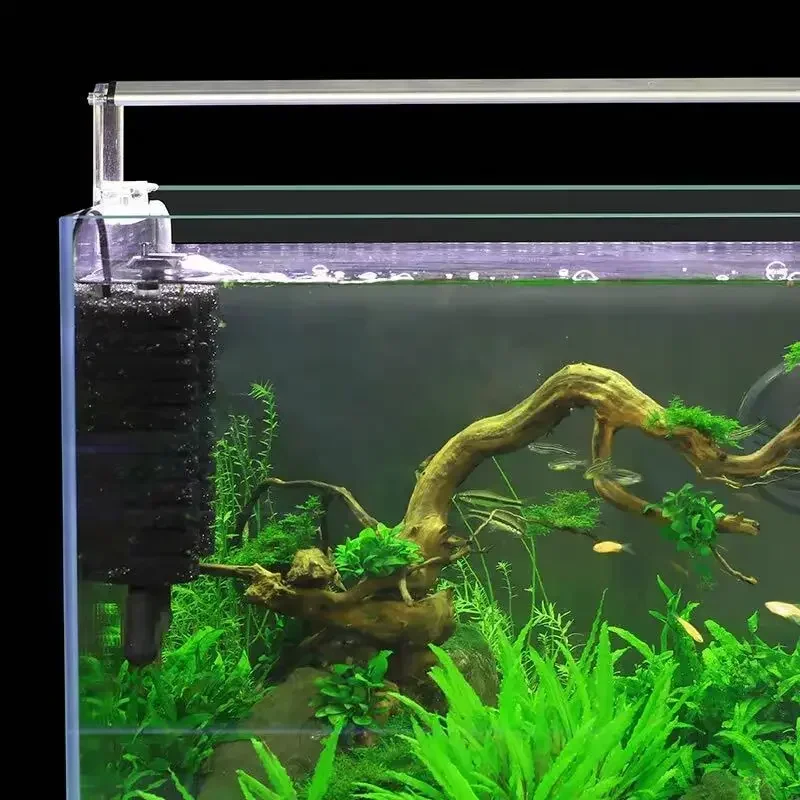 3-IN-1 Klip Pada Filter Daya L - Aquarium Fish Electric ulasan dan harga