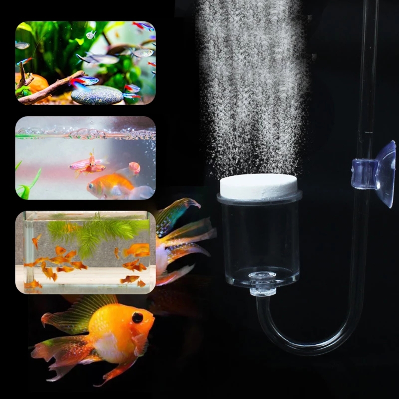 4 buah Set CO2 DIY Diffuser, u - Aquarium Fish Store ulasan dan harga