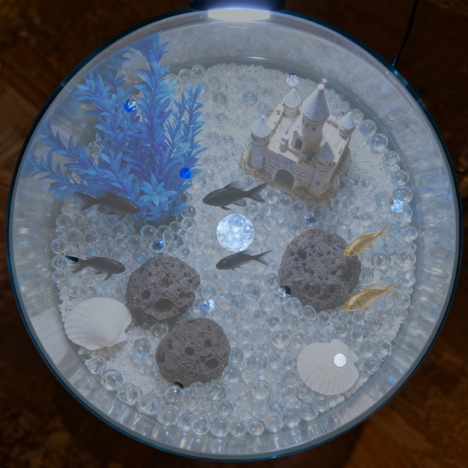 Penutup Akuarium Akrilik Bulat - Aquarium Fish Escape ulasan dan harga