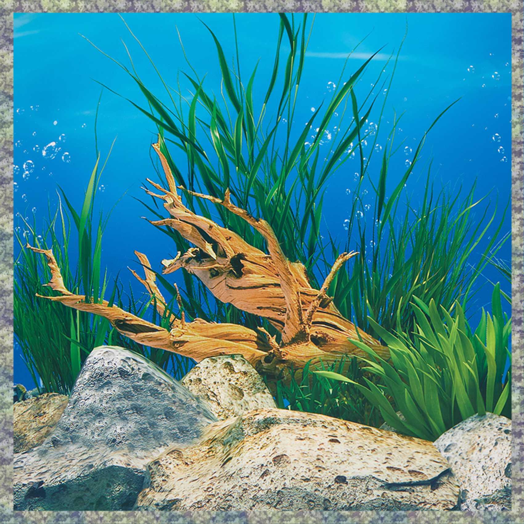 WON Kertas Latar Belakang Akua - Fish In Aquarium Picture ulasan dan harga